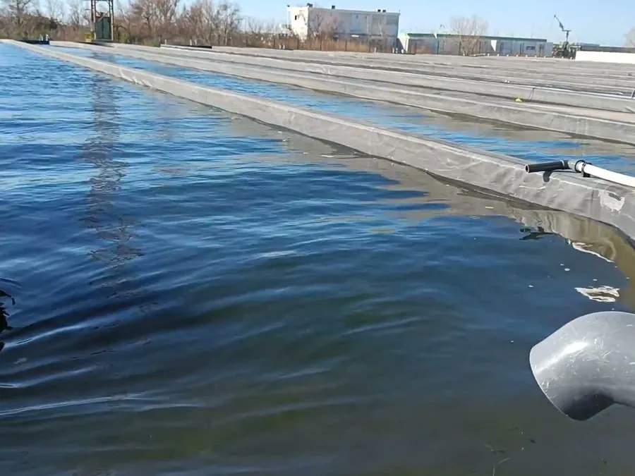 Bassin équipé d’une roue à aubes